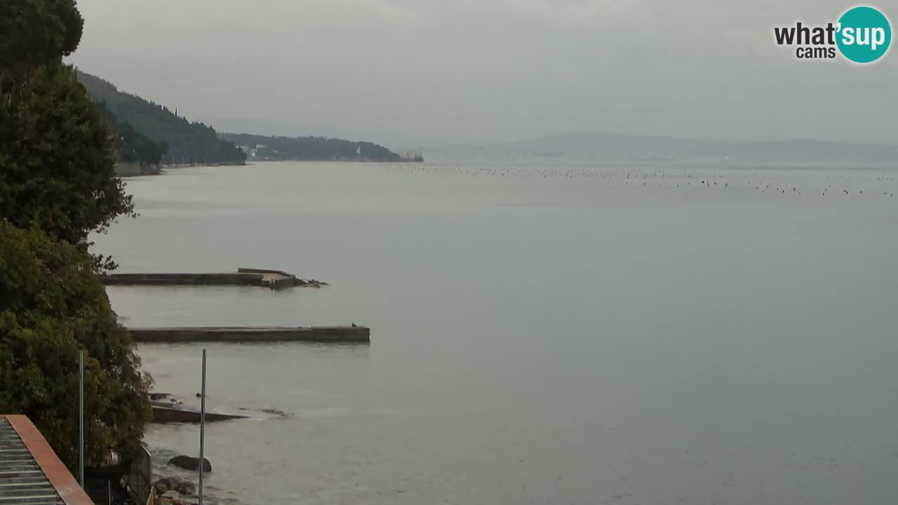 Webcam del restaurante BellaRiva | Costa de Trieste – vista hacia el castillo de Miramare