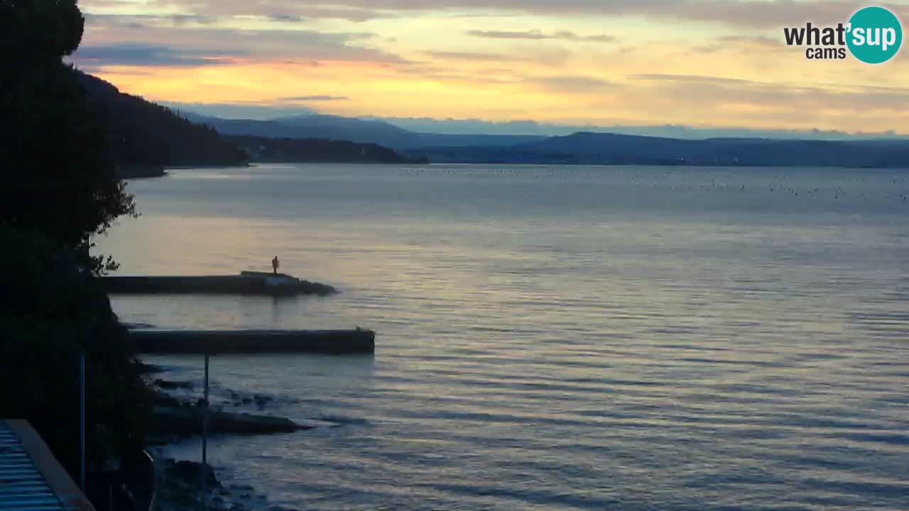 Webcam BellaRiva restaurant | Trieste coast – view to Miramare castle