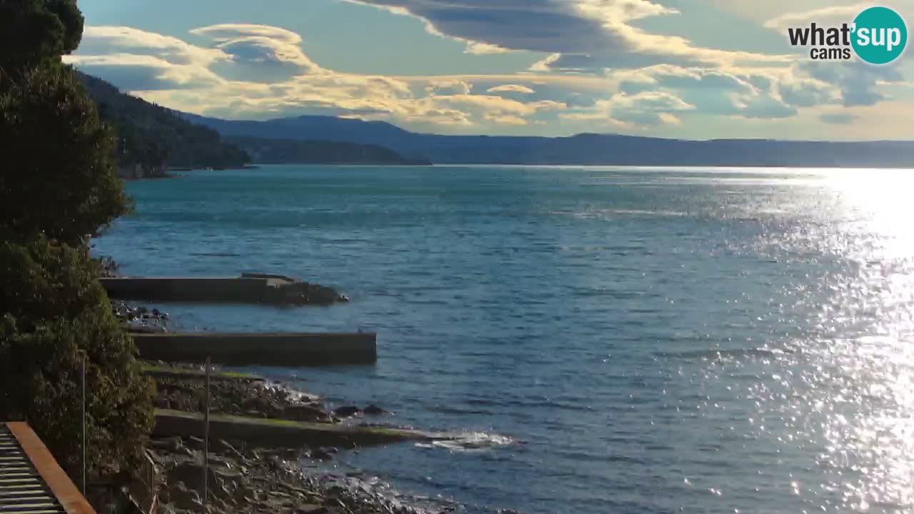 Webcam BellaRiva restaurant | Trieste coast – view to Miramare castle