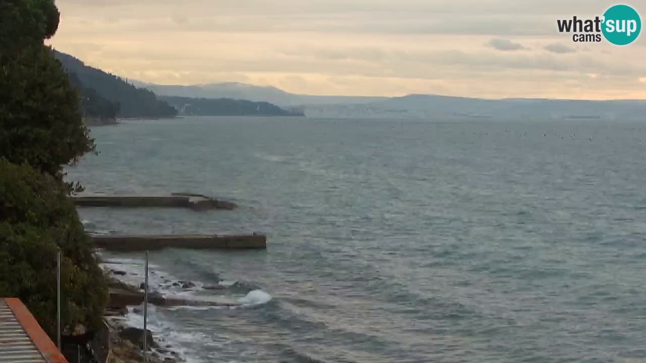 Webcam BellaRiva restaurant | Trieste coast – view to Miramare castle