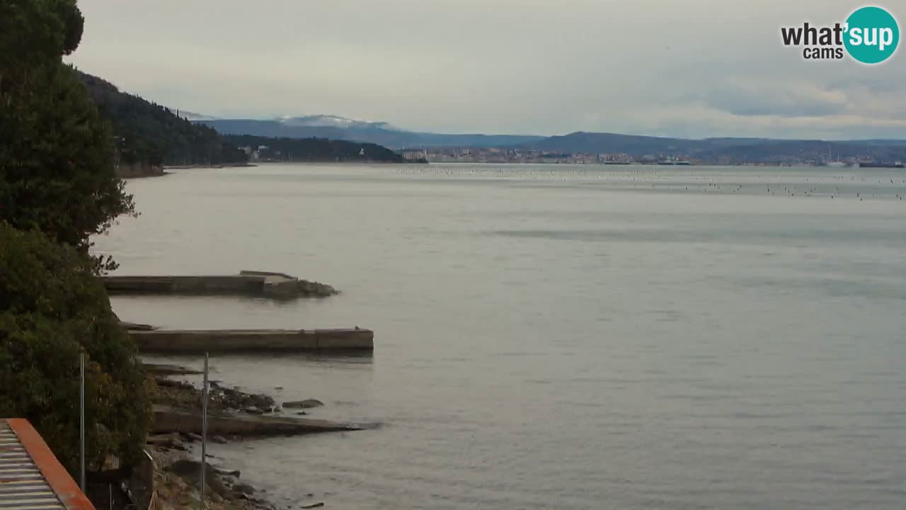 Webcam BellaRiva restaurant | Trieste coast – view to Miramare castle