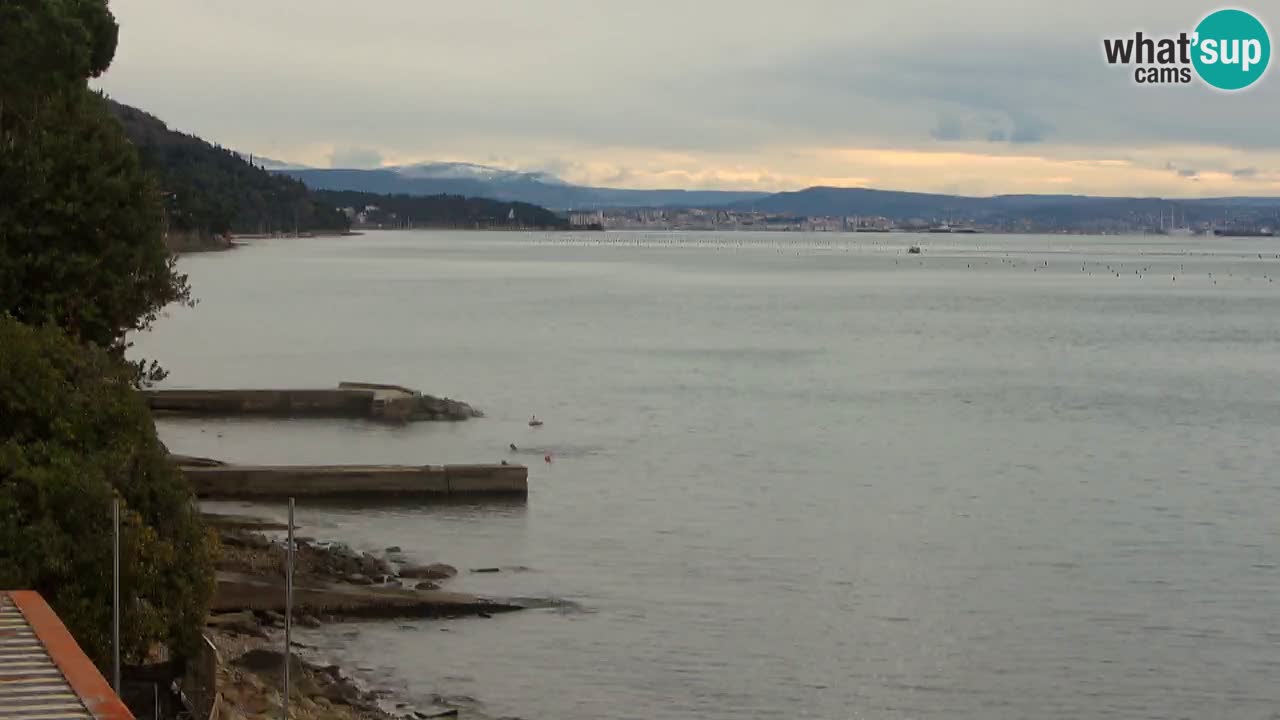 Webcam BellaRiva restaurant | Trieste coast – view to Miramare castle