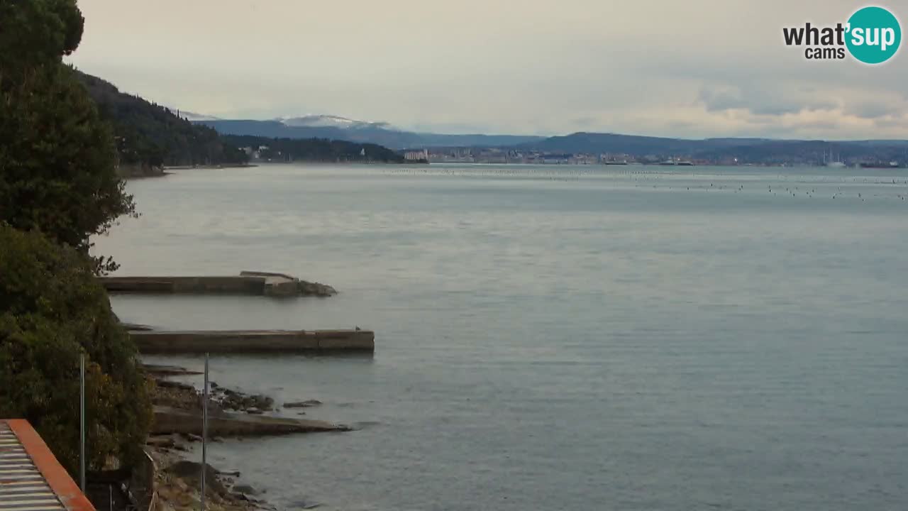 Webcam du restaurant BellaRiva | Côte de Trieste – vue sur le château de Miramare