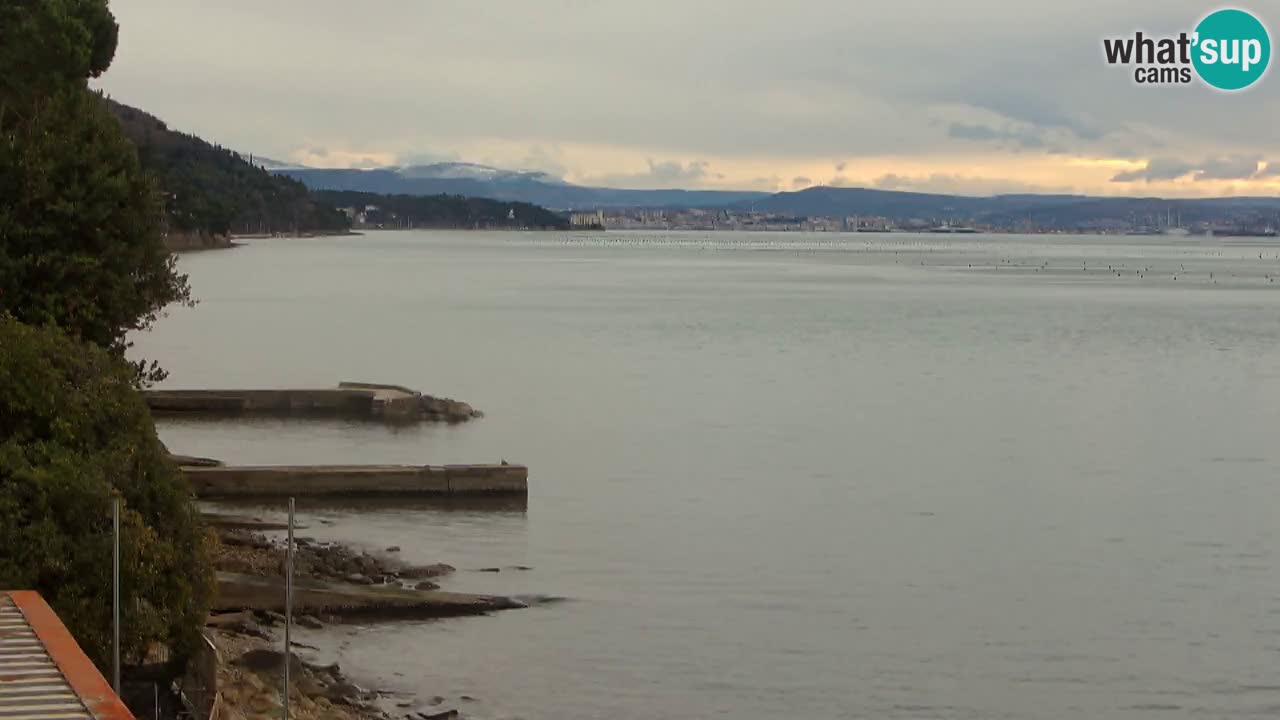 Webcam du restaurant BellaRiva | Côte de Trieste – vue sur le château de Miramare