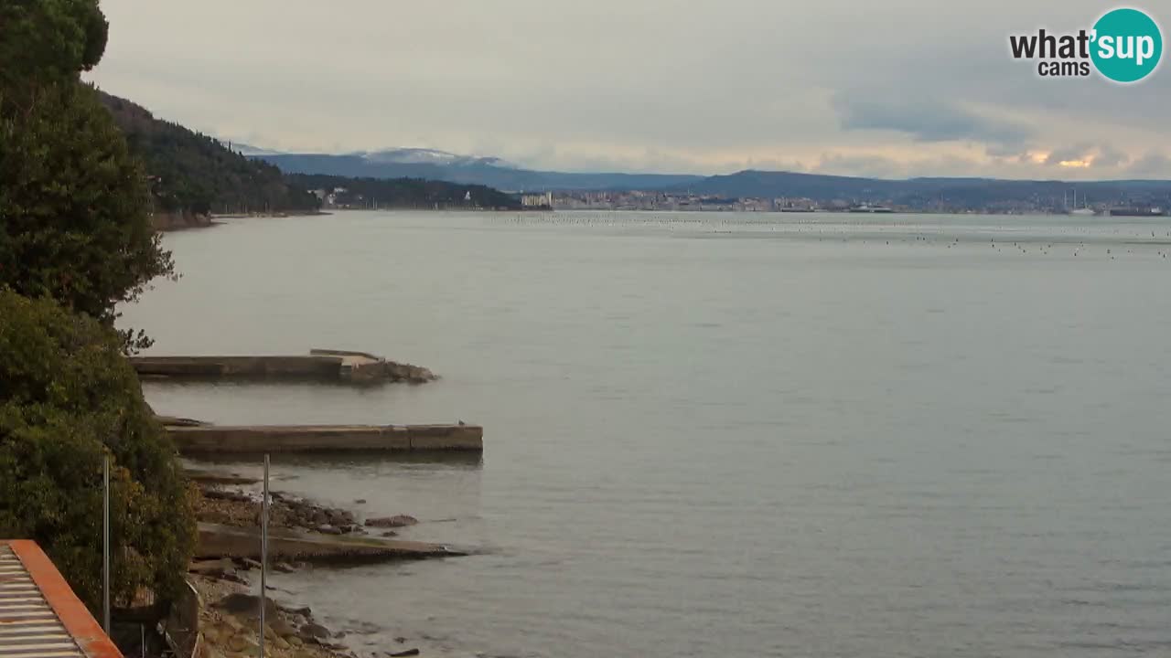 Webcam du restaurant BellaRiva | Côte de Trieste – vue sur le château de Miramare