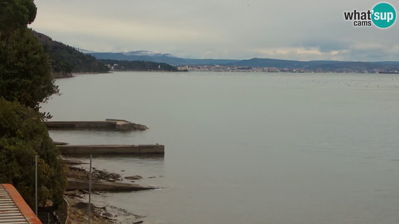 Webcam BellaRiva restaurant | Trieste coast – view to Miramare castle