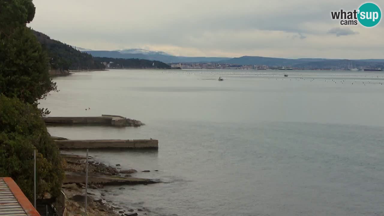 Trattoria BellaRiva webcam | Trieste costiera e castello di Miramare