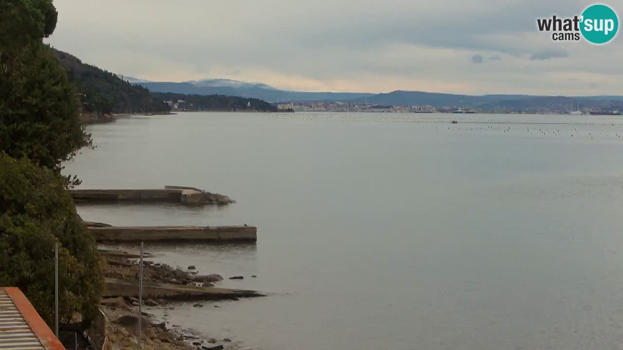 Webcam du restaurant BellaRiva | Côte de Trieste – vue sur le château de Miramare