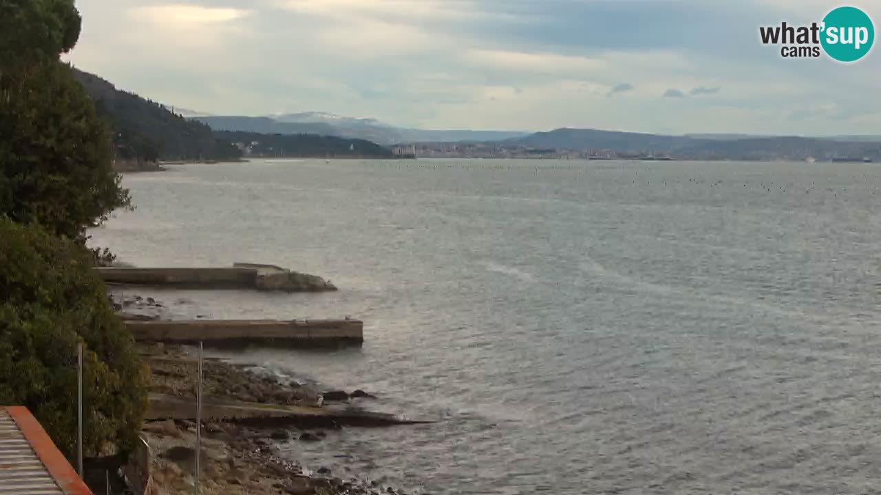 Webcam du restaurant BellaRiva | Côte de Trieste – vue sur le château de Miramare