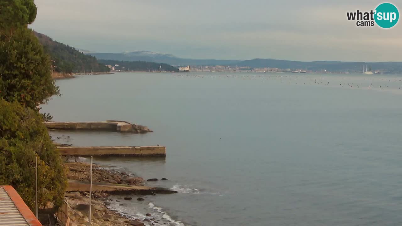 Webcam du restaurant BellaRiva | Côte de Trieste – vue sur le château de Miramare