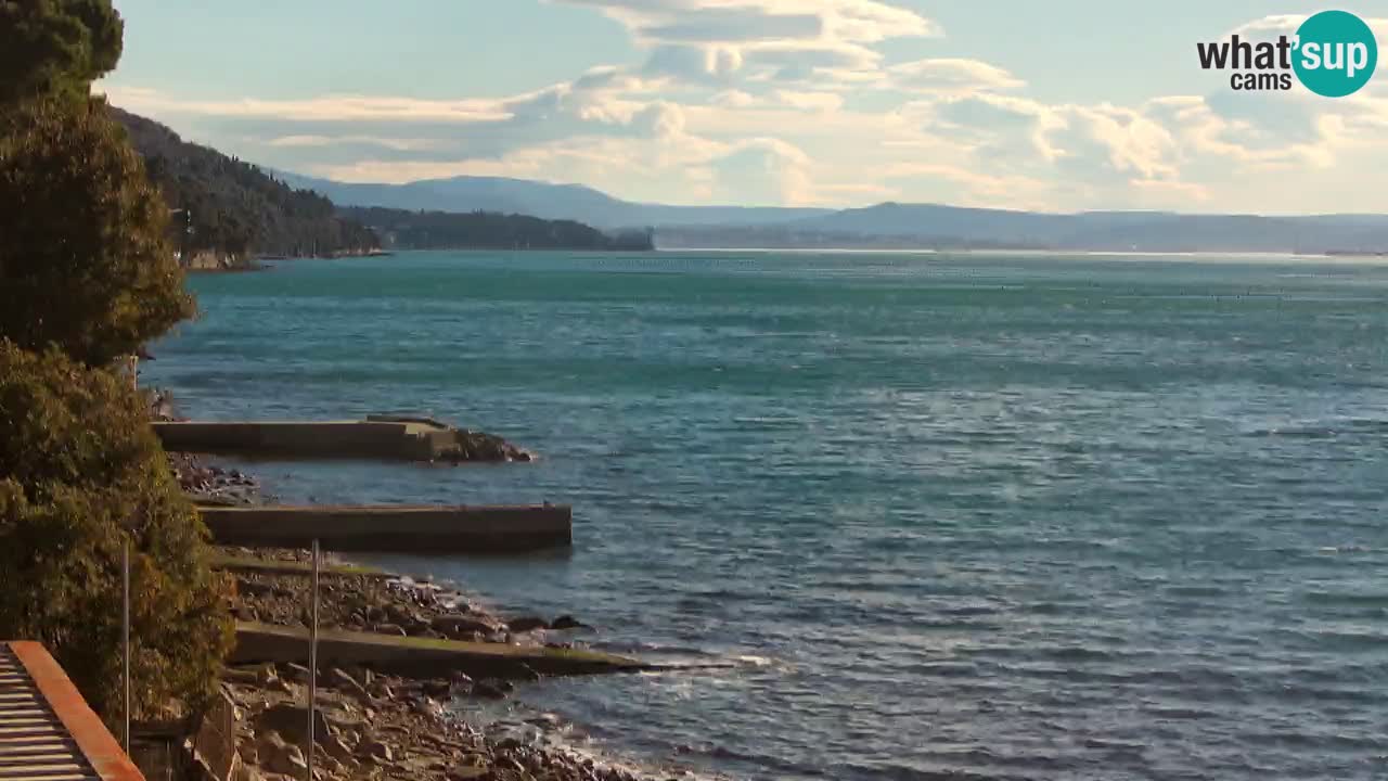 Webcam Restaurant BellaRiva | Küste von Triest – Blick auf das Schloss Miramare