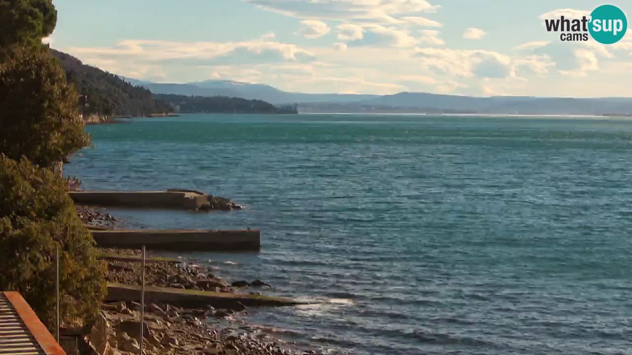 Webcam du restaurant BellaRiva | Côte de Trieste – vue sur le château de Miramare