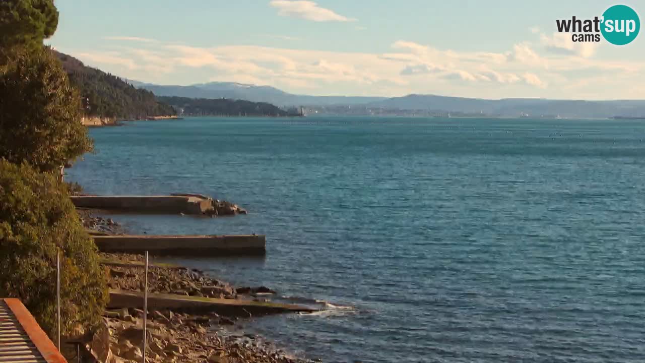 Webcam BellaRiva restaurant | Trieste coast – view to Miramare castle