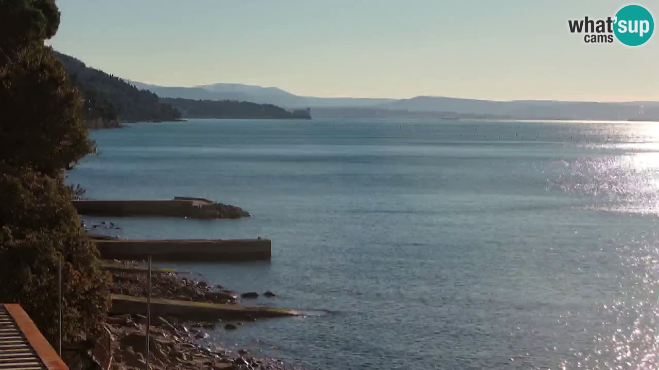 Webcam du restaurant BellaRiva | Côte de Trieste – vue sur le château de Miramare