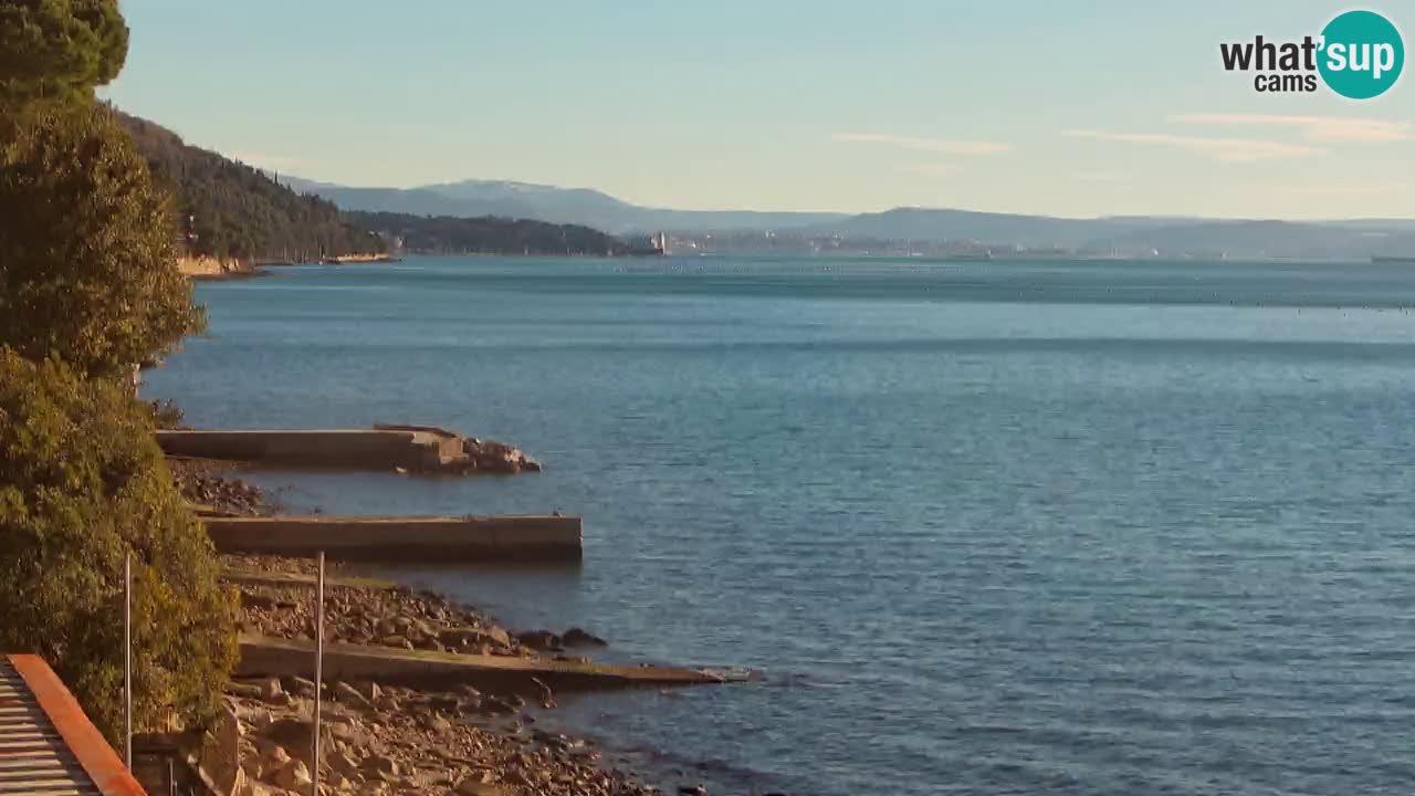 Webcam BellaRiva restaurant | Trieste coast – view to Miramare castle