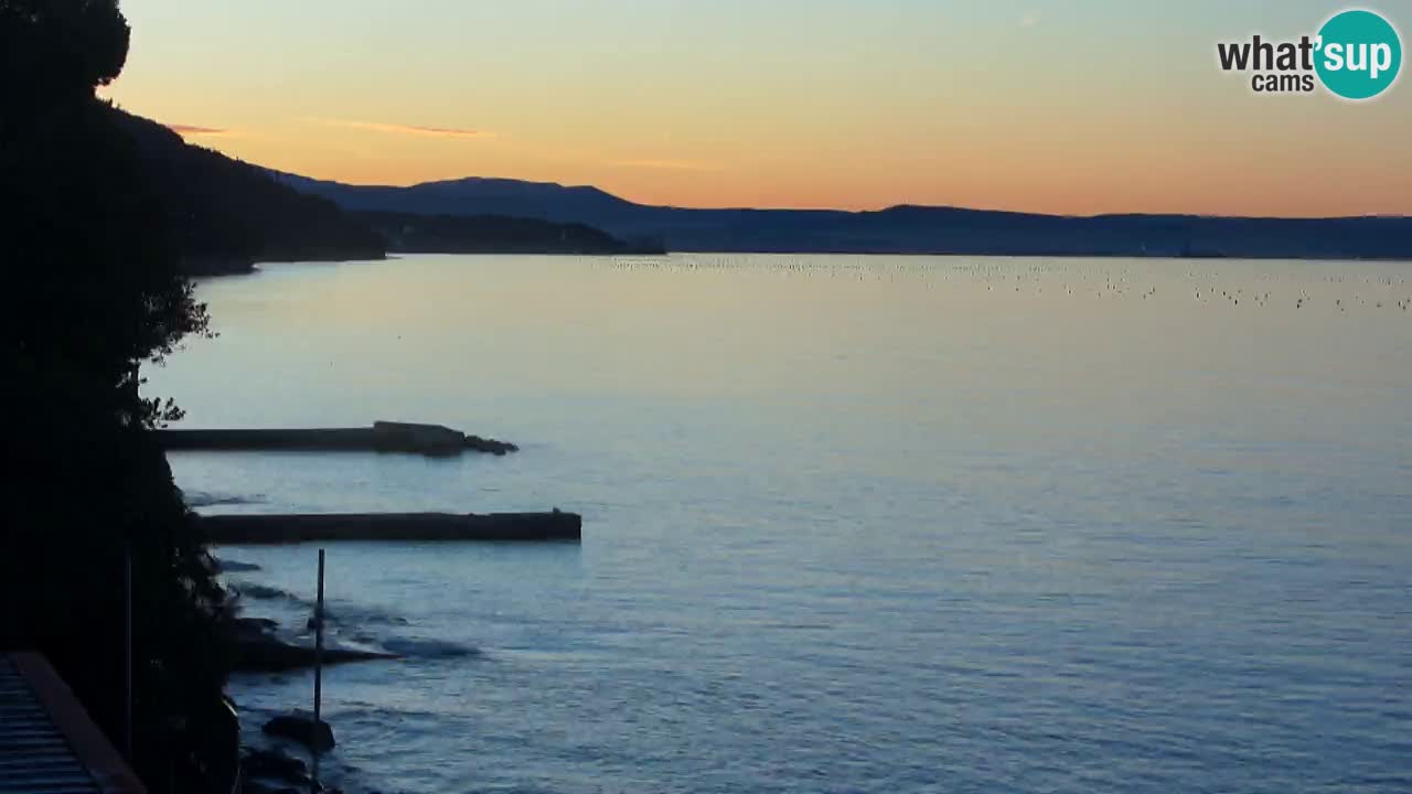 Webcam BellaRiva restaurant | Trieste coast – view to Miramare castle