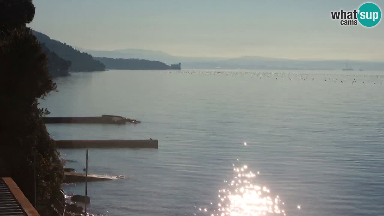 Webcam du restaurant BellaRiva | Côte de Trieste – vue sur le château de Miramare