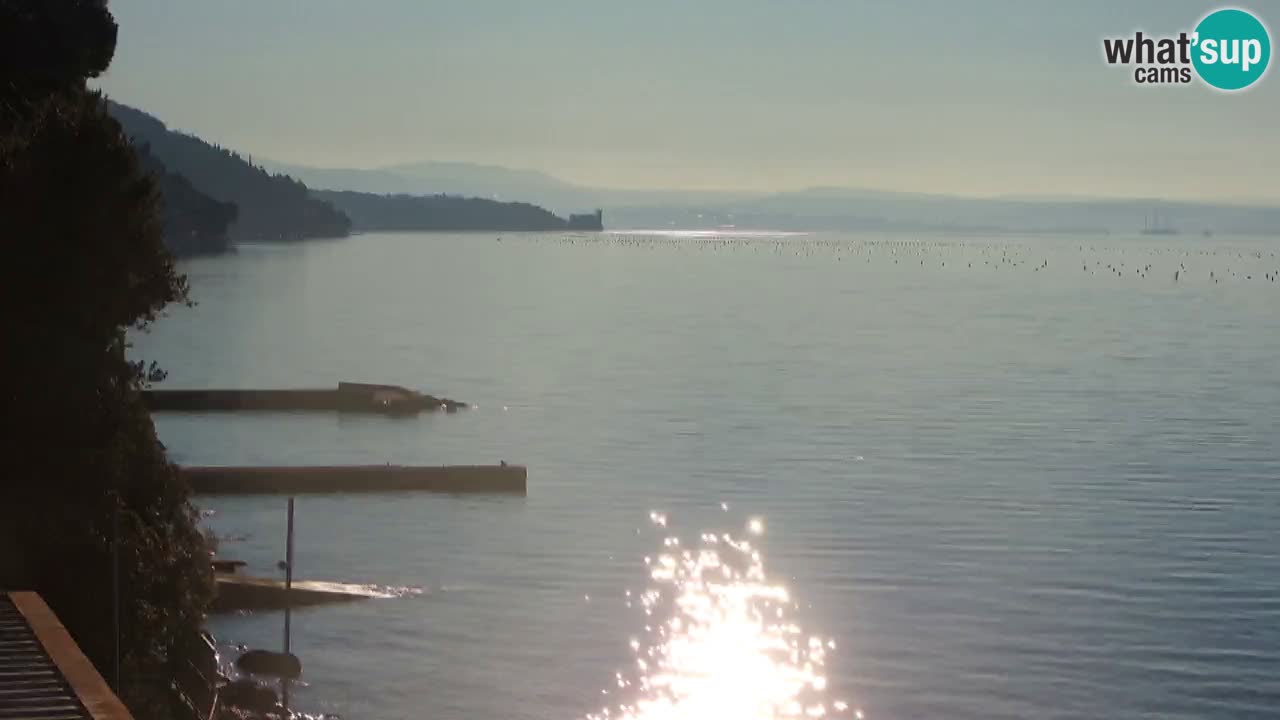 Webcam du restaurant BellaRiva | Côte de Trieste – vue sur le château de Miramare