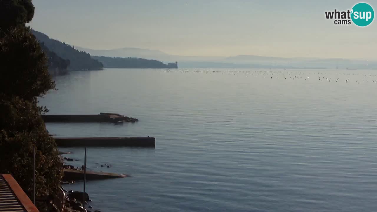 Webcam Restaurant BellaRiva | Küste von Triest – Blick auf das Schloss Miramare