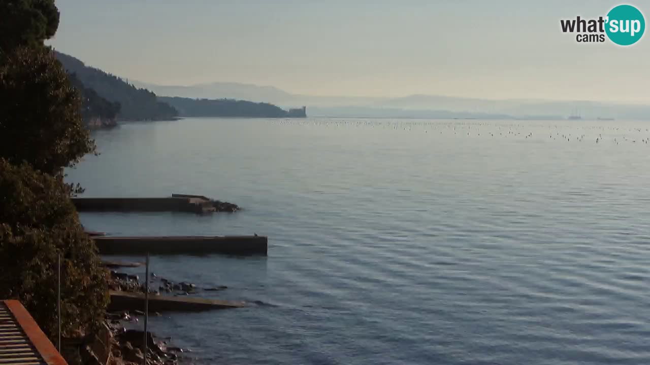 Trattoria BellaRiva webcam | Trieste costiera e castello di Miramare