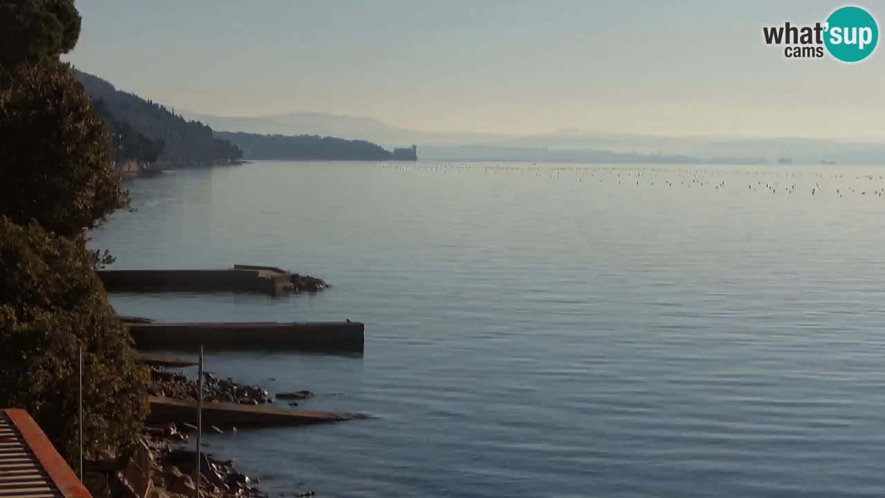 Webcam du restaurant BellaRiva | Côte de Trieste – vue sur le château de Miramare