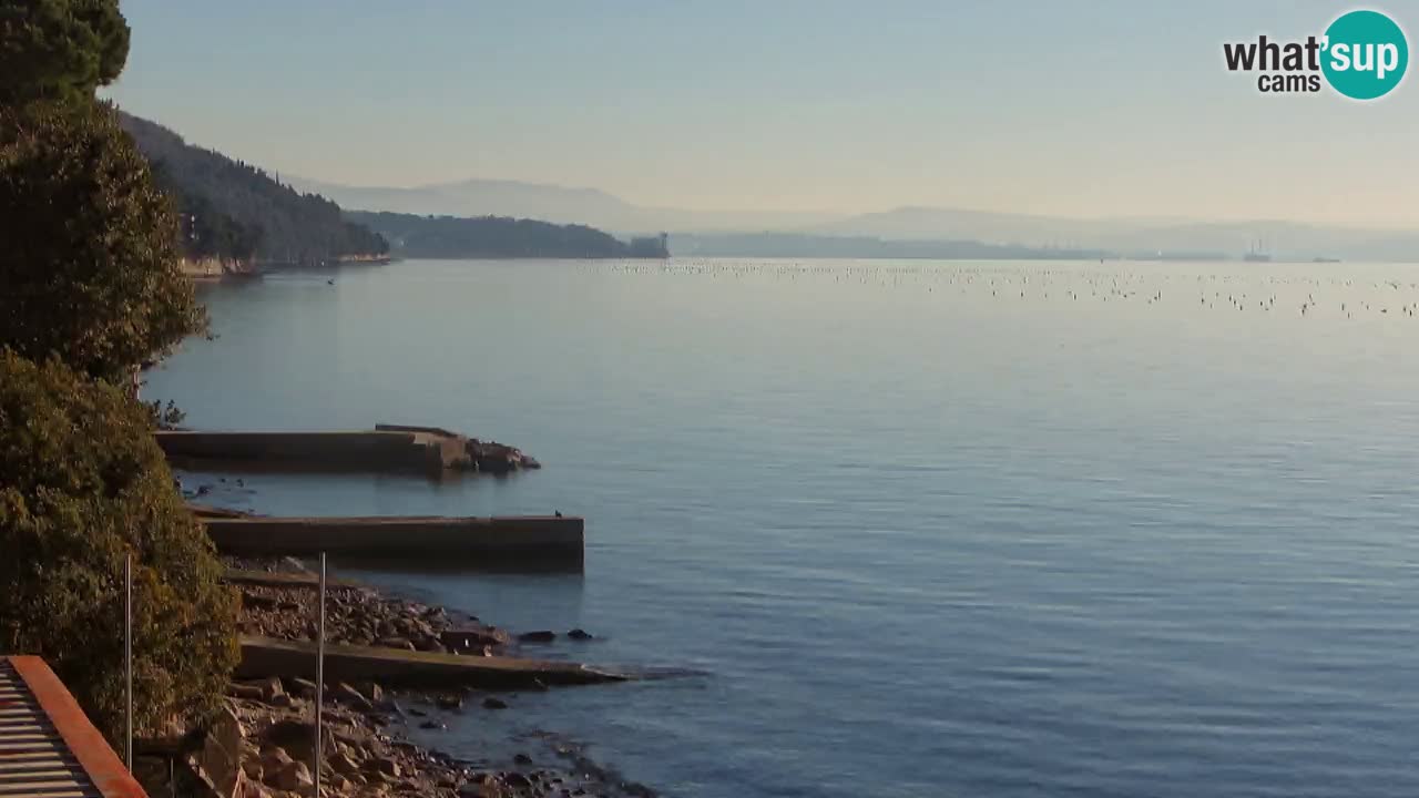 Webcam Restaurant BellaRiva | Küste von Triest – Blick auf das Schloss Miramare