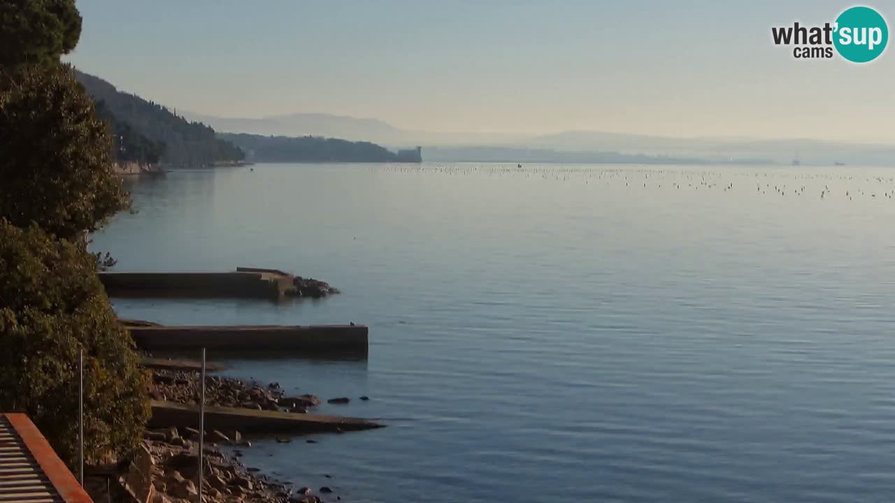 Webcam du restaurant BellaRiva | Côte de Trieste – vue sur le château de Miramare