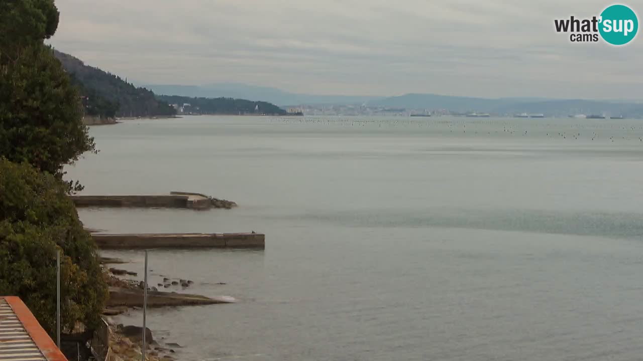 Webcam del restaurante BellaRiva | Costa de Trieste – vista hacia el castillo de Miramare