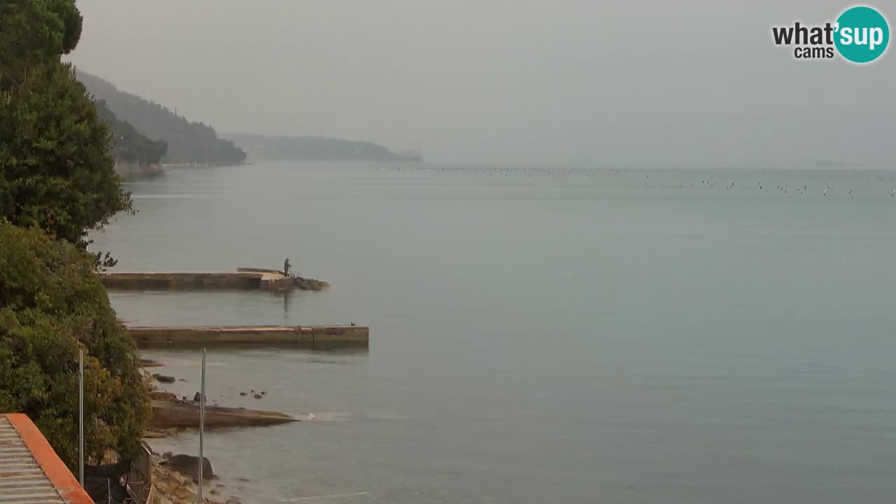 Webcam del restaurante BellaRiva | Costa de Trieste – vista hacia el castillo de Miramare