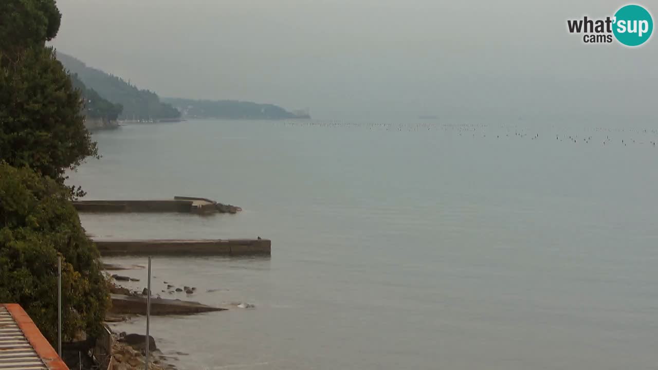 Webcam du restaurant BellaRiva | Côte de Trieste – vue sur le château de Miramare