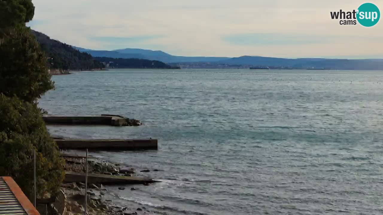 Webcam del restaurante BellaRiva | Costa de Trieste – vista hacia el castillo de Miramare