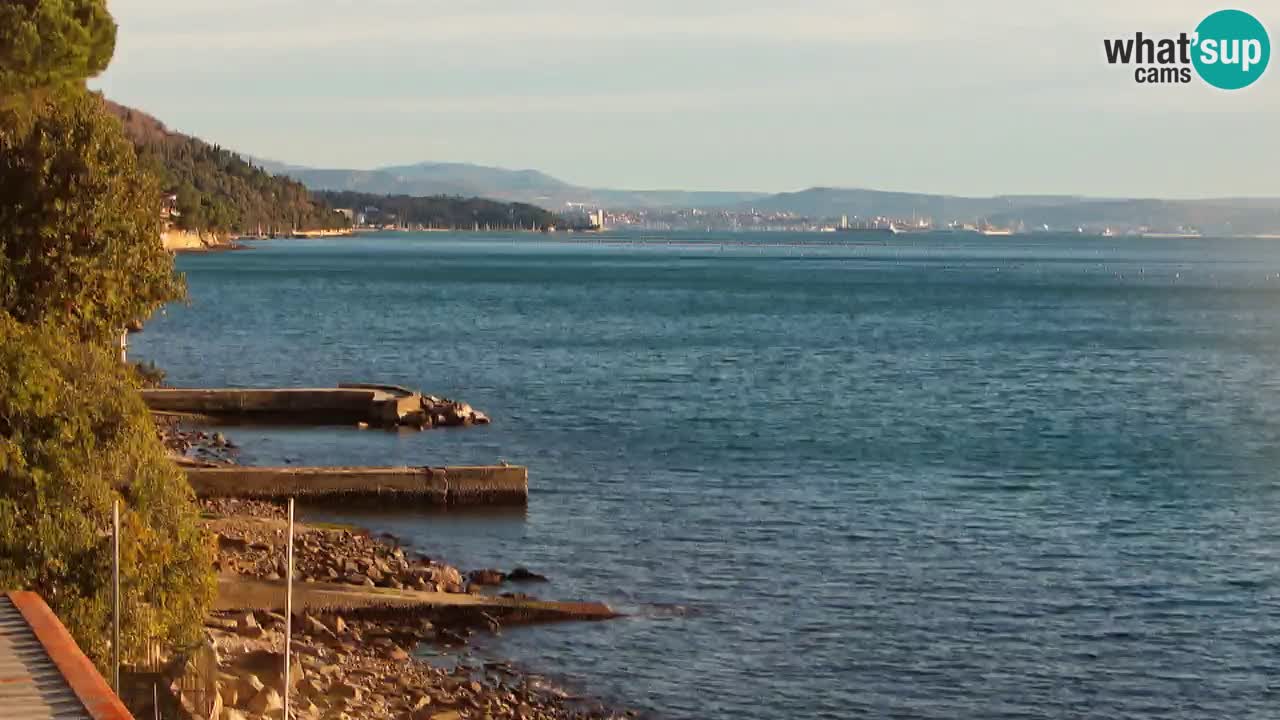 Webcam du restaurant BellaRiva | Côte de Trieste – vue sur le château de Miramare