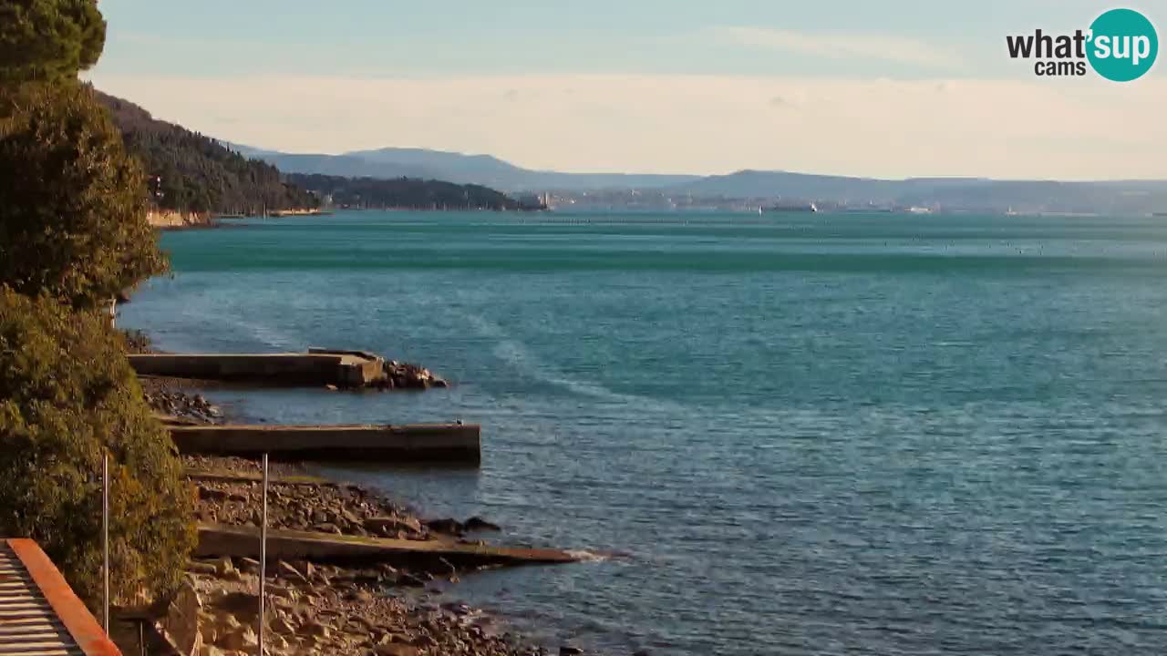 Webcam BellaRiva restaurant | Trieste coast – view to Miramare castle