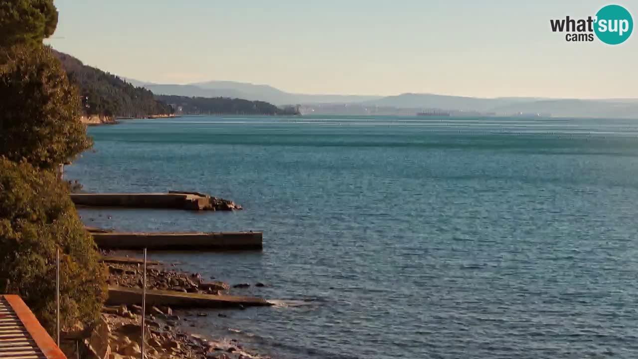 Webcam BellaRiva restaurant | Trieste coast – view to Miramare castle