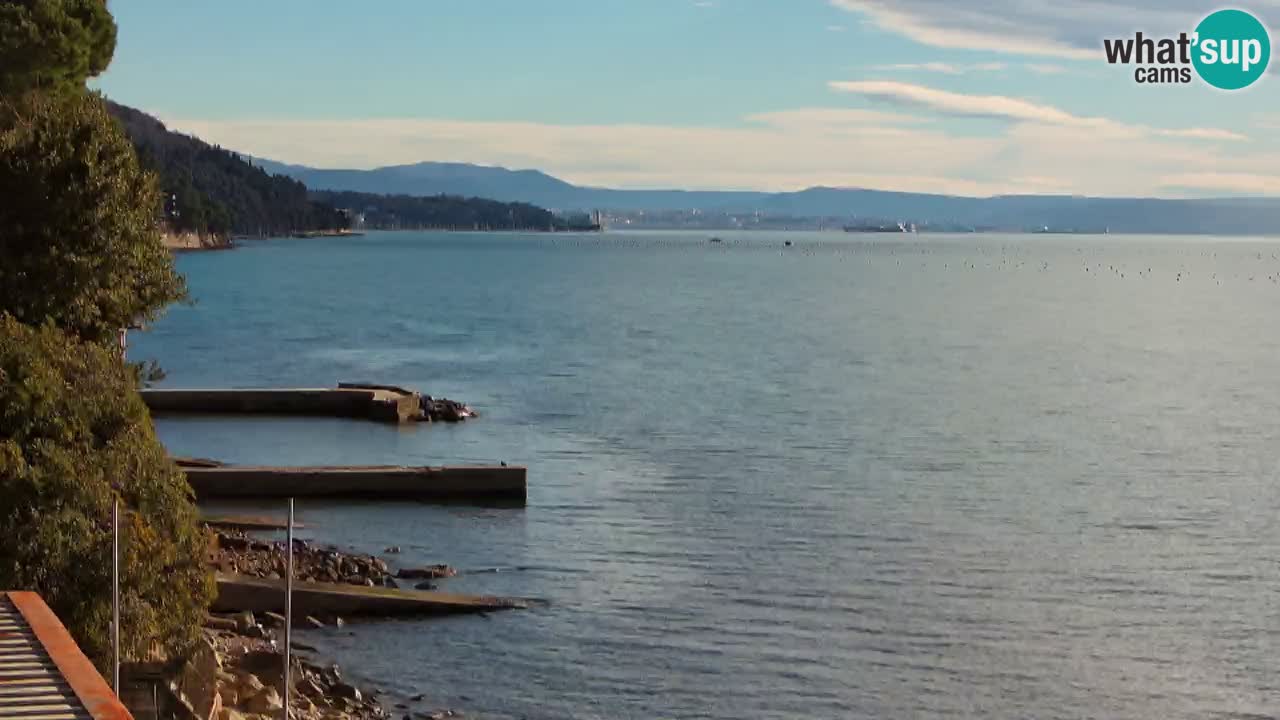 Webcam BellaRiva restaurant | Trieste coast – view to Miramare castle