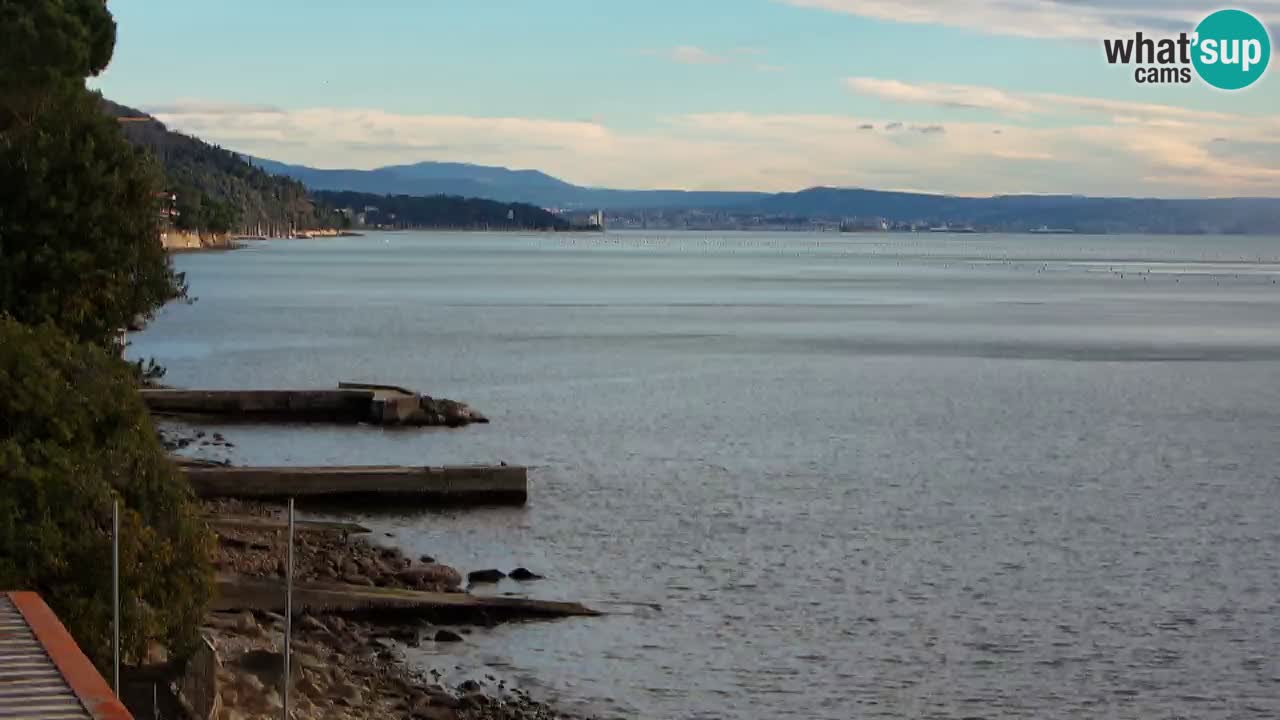 Webcam BellaRiva restaurant | Trieste coast – view to Miramare castle