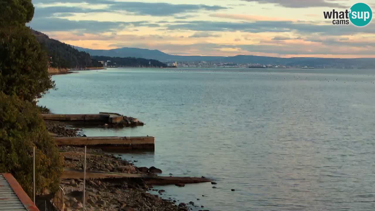 Webcam BellaRiva restaurant | Trieste coast – view to Miramare castle