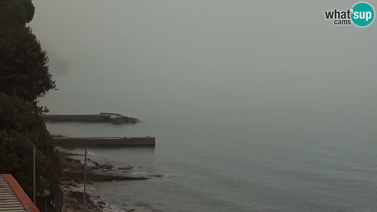 Webcam del restaurante BellaRiva | Costa de Trieste – vista hacia el castillo de Miramare