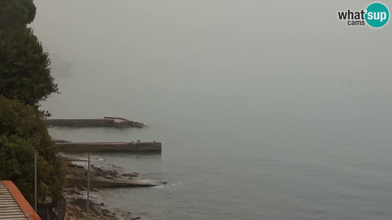 Webcam del restaurante BellaRiva | Costa de Trieste – vista hacia el castillo de Miramare