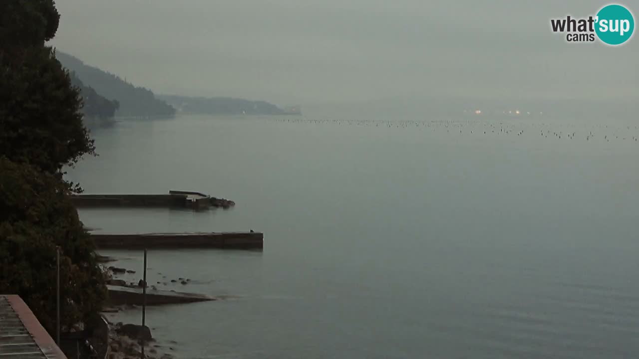 Webcam du restaurant BellaRiva | Côte de Trieste – vue sur le château de Miramare