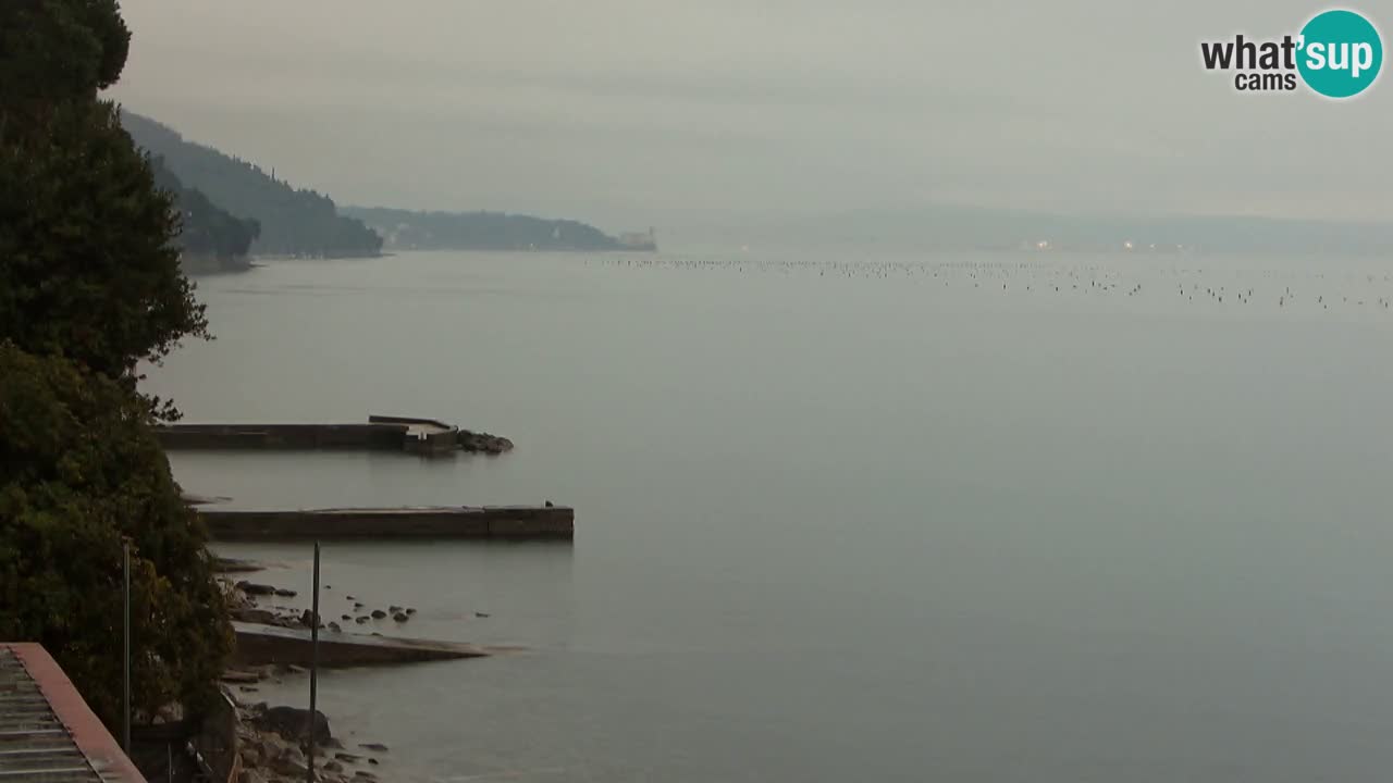 Webcam du restaurant BellaRiva | Côte de Trieste – vue sur le château de Miramare