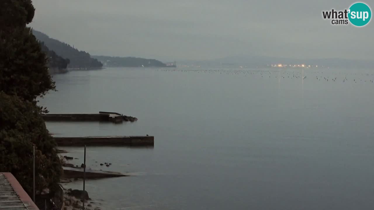 Trattoria BellaRiva webcam | Trieste costiera e castello di Miramare