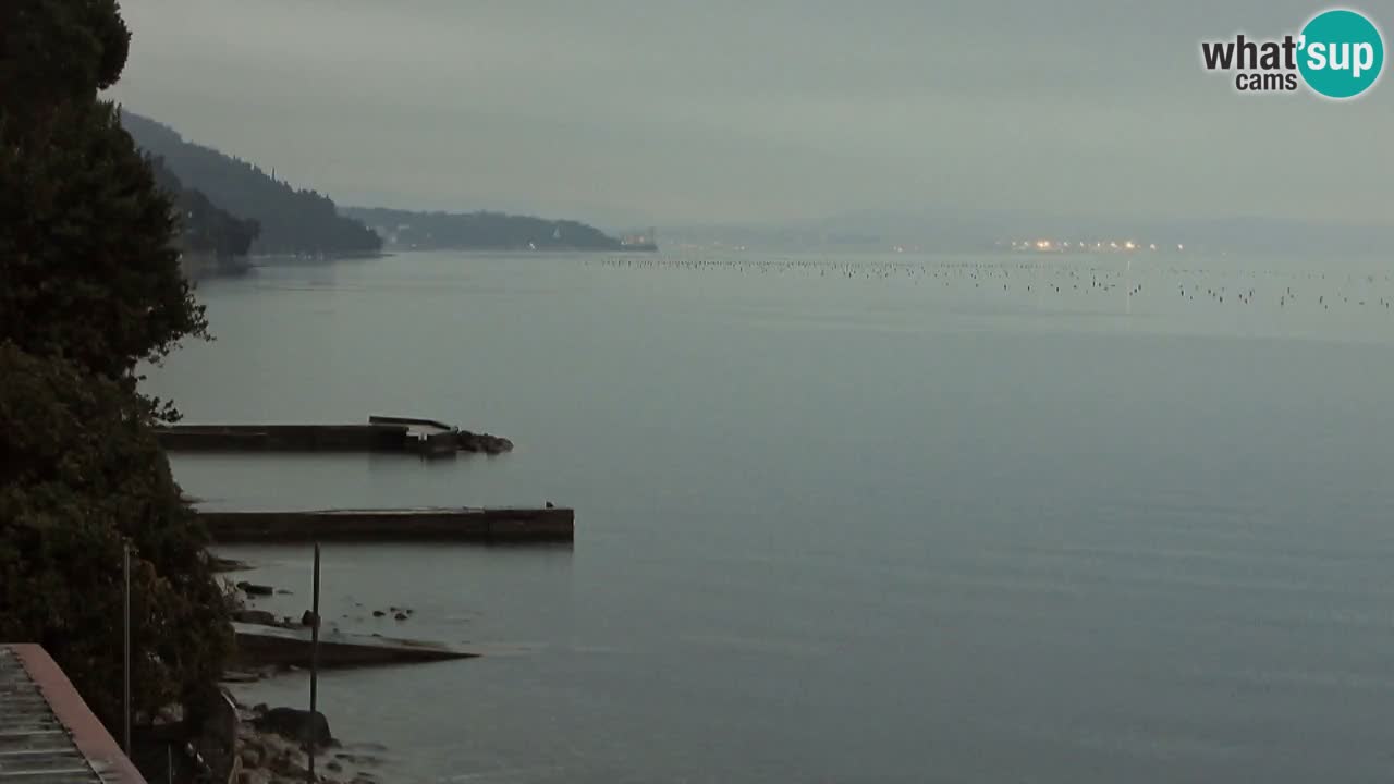 Trattoria BellaRiva webcam | Trieste costiera e castello di Miramare