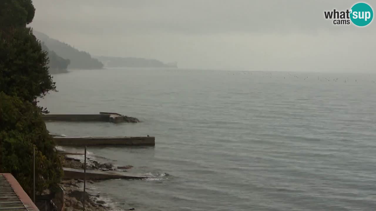 Webcam du restaurant BellaRiva | Côte de Trieste – vue sur le château de Miramare