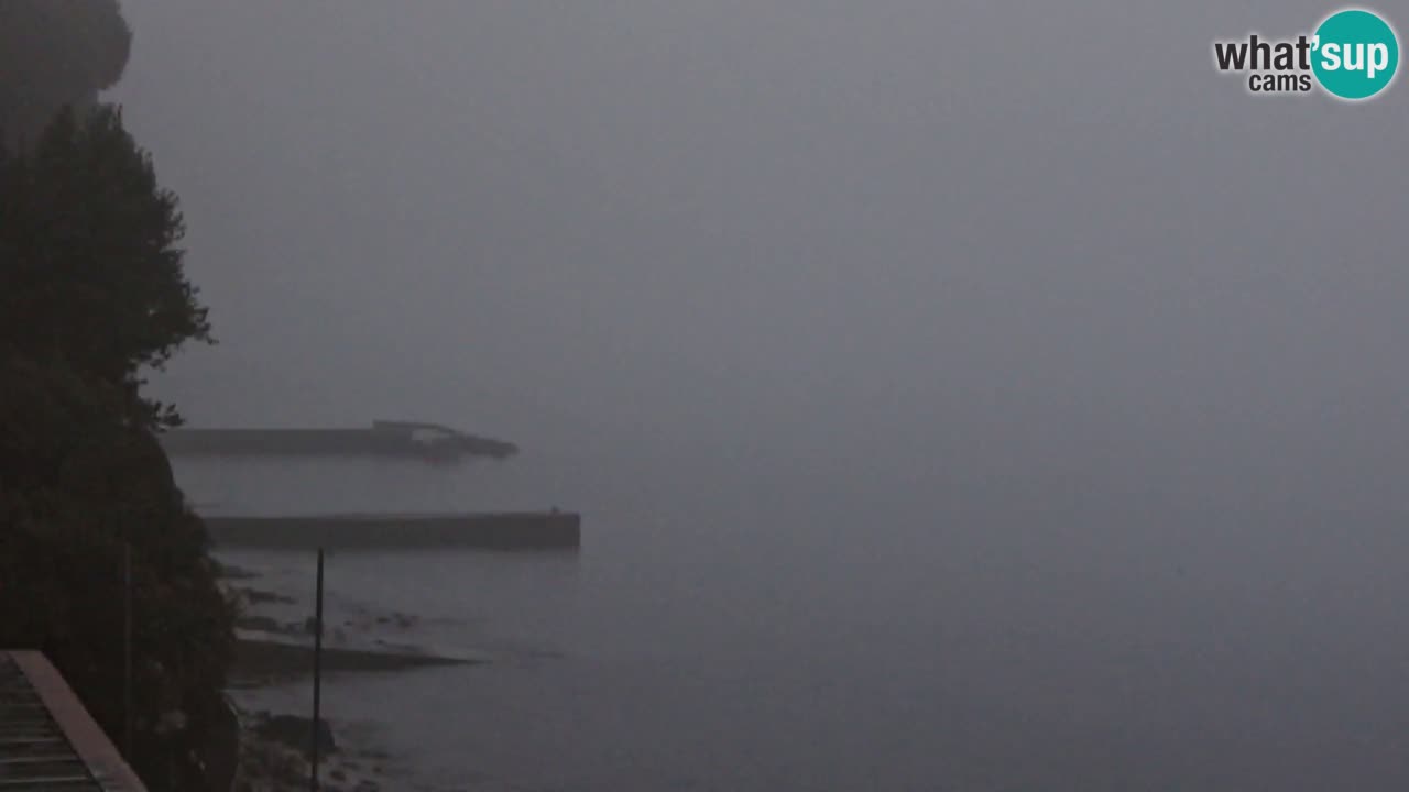 Webcam du restaurant BellaRiva | Côte de Trieste – vue sur le château de Miramare