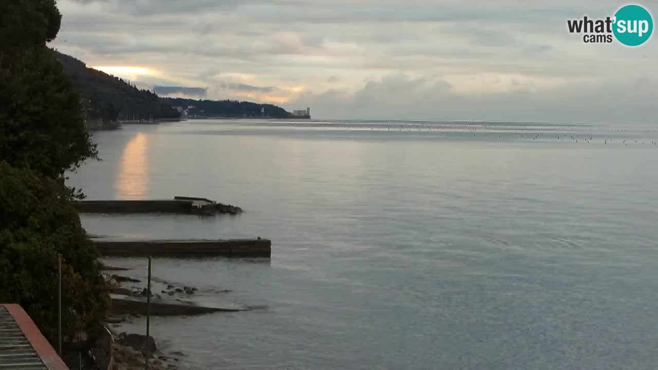 Trattoria BellaRiva webcam | Trieste costiera e castello di Miramare