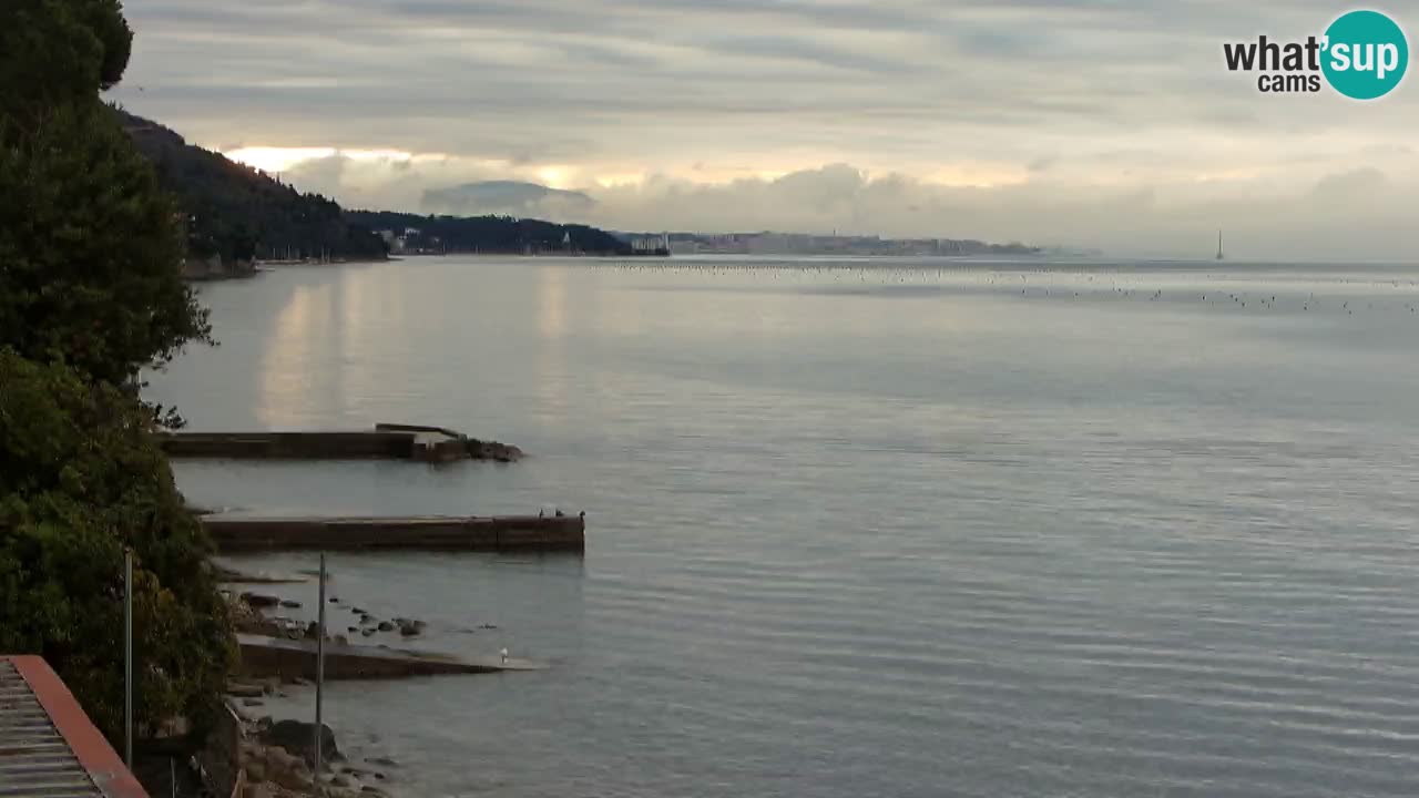 Webcam del restaurante BellaRiva | Costa de Trieste – vista hacia el castillo de Miramare