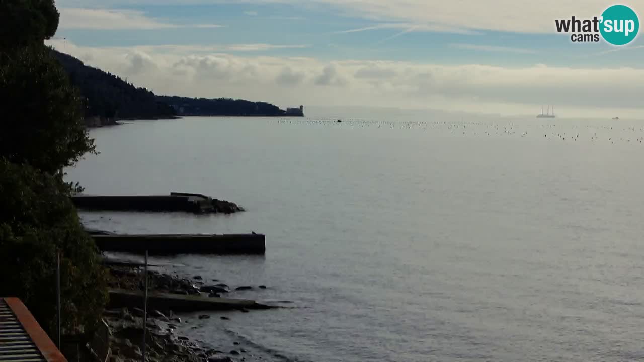 Webcam del restaurante BellaRiva | Costa de Trieste – vista hacia el castillo de Miramare