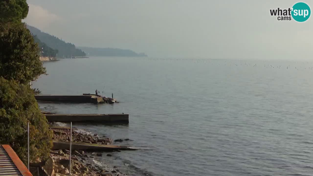 Webcam du restaurant BellaRiva | Côte de Trieste – vue sur le château de Miramare