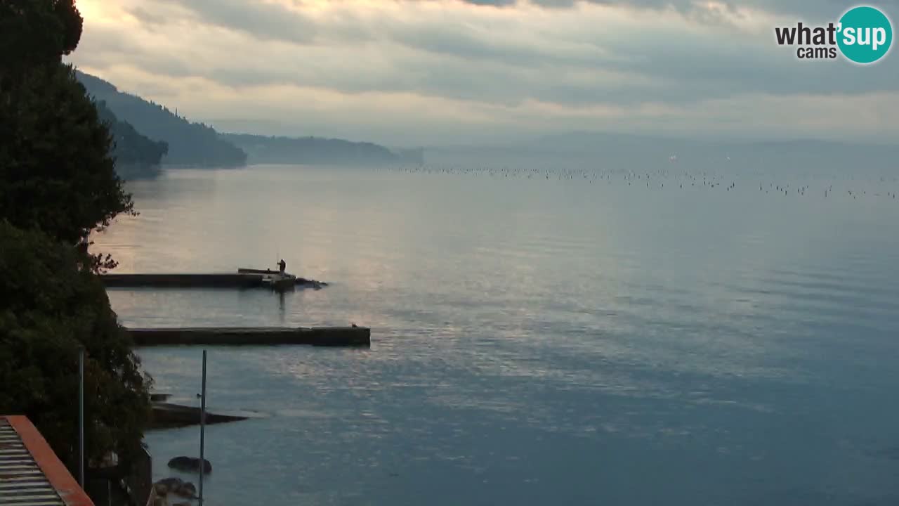 Webcam BellaRiva restaurant | Trieste coast – view to Miramare castle